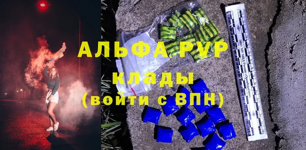 сатива Балахна
