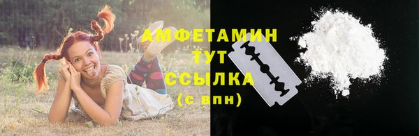 сатива Арсеньев