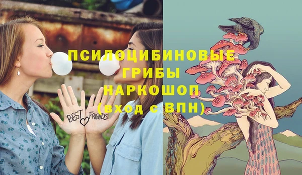 молекула духа Баксан