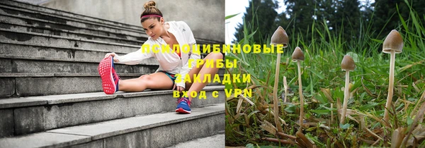 сатива Балахна