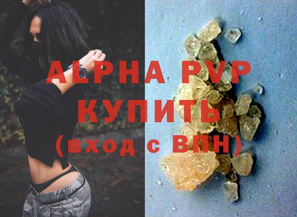сатива Балахна
