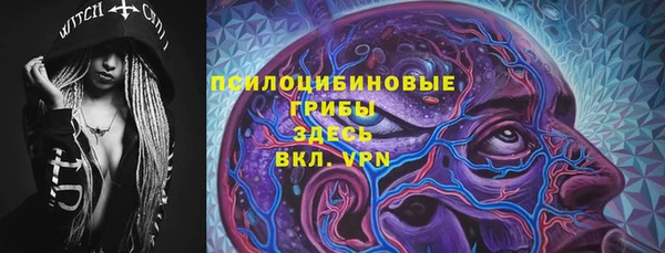сатива Арсеньев