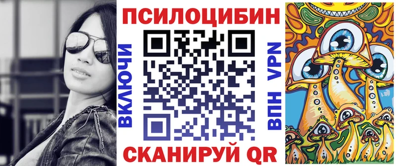 Псилоцибиновые грибы Psilocybe  где найти   Сыктывкар 